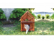 House for cat