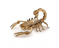 Scorpion Insect