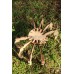 Arachnid Arch Laser Cut Vector Model