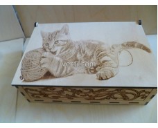 Box with a cat